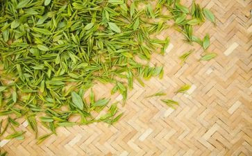 茶艺课培训心得通用6篇