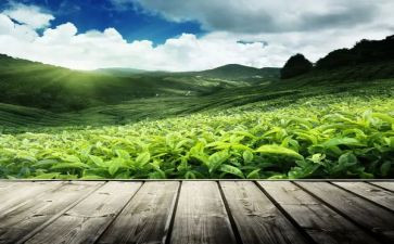 茶艺课培训心得7篇