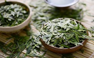 茶艺社心得体会5篇