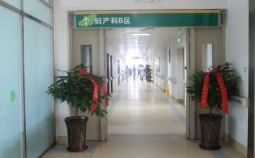 2024年产科护士述职报告5篇