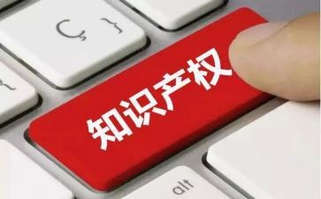 知识产权工作总结精选8篇
