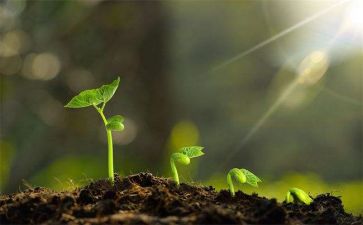 我在中成长作文500字参考8篇