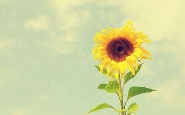 我在中成长作文600字优秀作文8篇