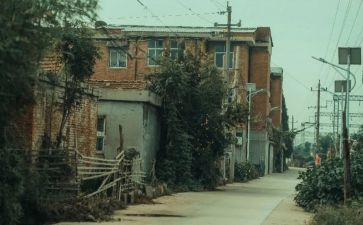 城南旧事读观后感7篇