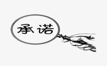 工程售后服务承诺书8篇