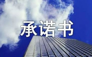 工程售后服务承诺书最新8篇