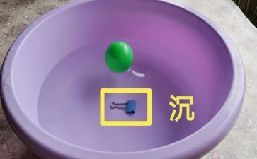 幼儿园沉与浮活动总结优质8篇