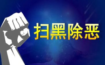 除恶工作总结7篇