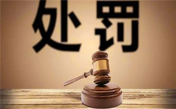 退处分申请书优质7篇