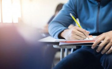 初级小学教师述职报告6篇