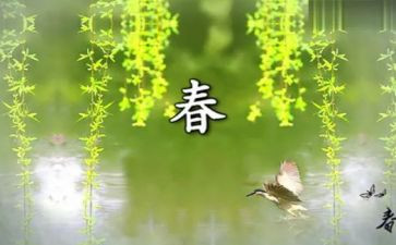 春节现象调查报告7篇