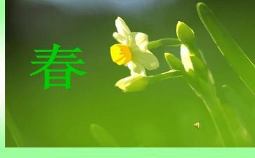 幼儿园大班春天主题活动方案8篇