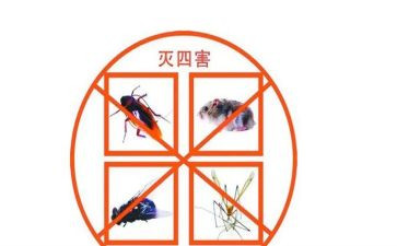 学校除四害工作计划7篇