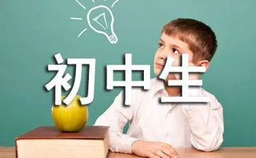 初中数学教学教研工作总结6篇