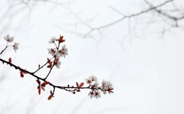 写匆匆的读后感作文600字5篇