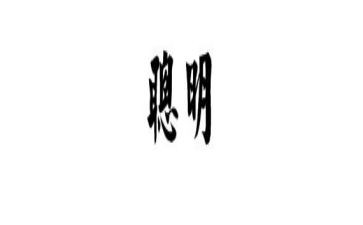 大班语言《聪明的乌龟》教案7篇
