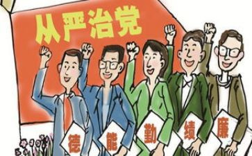2024从严治党半年总结5篇