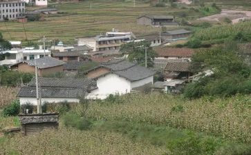 农村工作总结模板推荐8篇