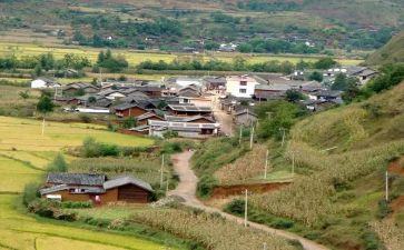2024年村年终总结工作报告优秀7篇