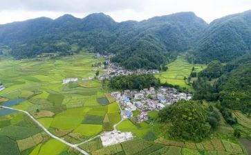村领导到学校的讲话稿7篇