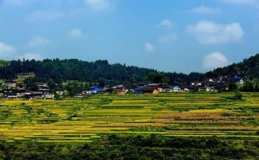 2024年村年终总结工作报告6篇