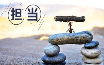 想担当敢担当能担当心得体会模板5篇