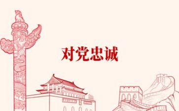 党个人培训总结模板7篇