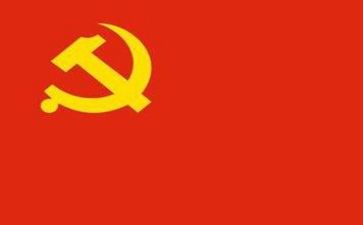 党务工作个人总结6篇