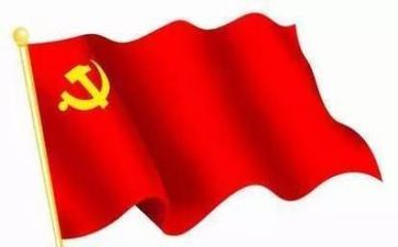 党支年度工作计划优秀6篇