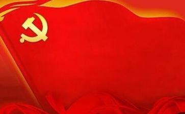 党支部选举工作总结5篇