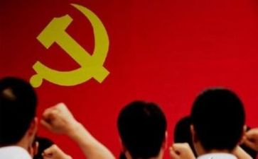 党会述职报告精选5篇