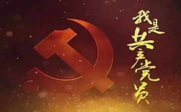 党建个人工作总结7篇