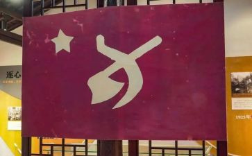 2023年党员年度工作总结模板8篇