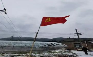 2023党员转正申请书最新8篇