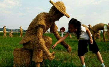 稻草稻草人读后感优质6篇