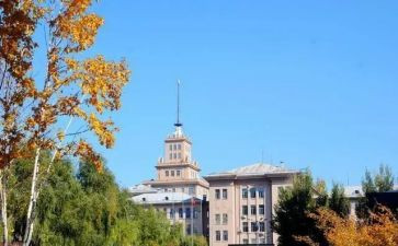 大学个人工作总结最新8篇
