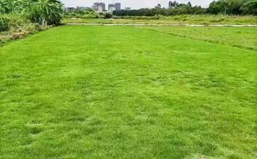 农村土地征用合同6篇