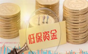 低保工作工作总结最新5篇