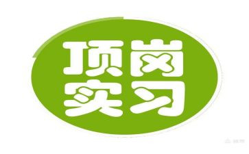 顶岗工作总结参考7篇