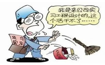 顶岗实习总结优质8篇