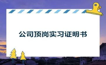 学生顶岗实习总结报告8篇