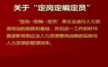 刚定岗工作总结8篇