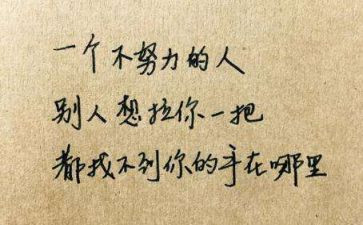 那一刻我懂了700字作文5篇