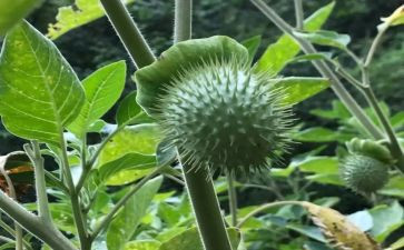 禁毒日活动策划6篇
