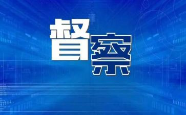 督查科半年工作总结5篇