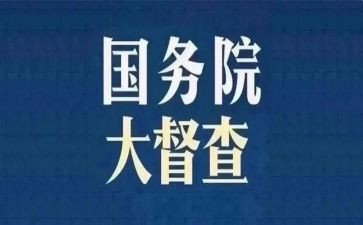 防督查工作总结模板5篇