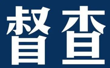 督察队工作总结5篇
