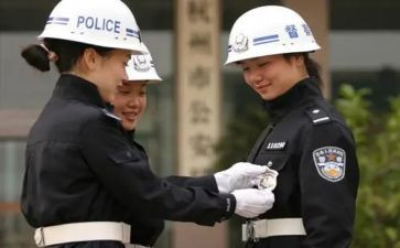 督察的工作总结5篇