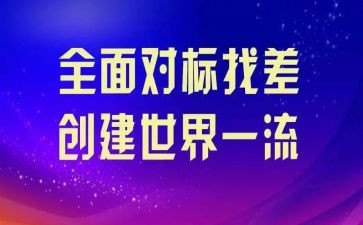 对标对表学先进心得体会通用8篇