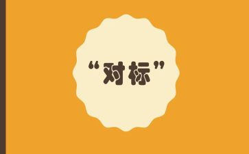 企业对标对超工作总结优秀5篇